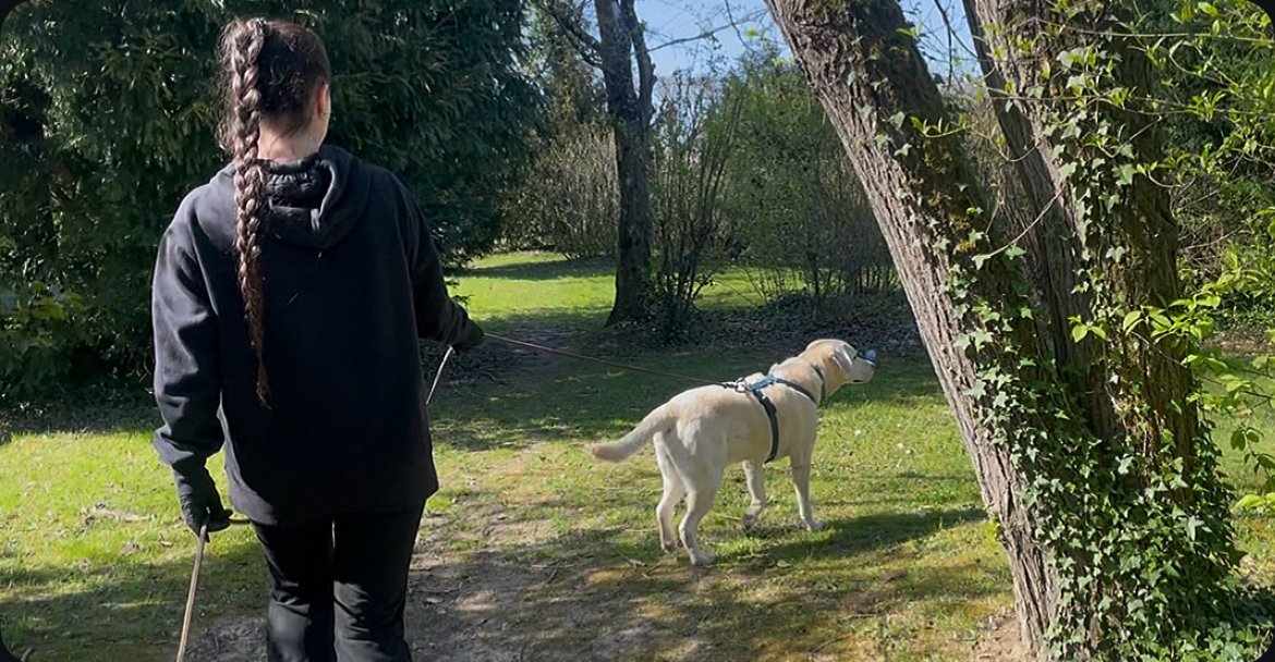 mantrailing pistage chiens 77