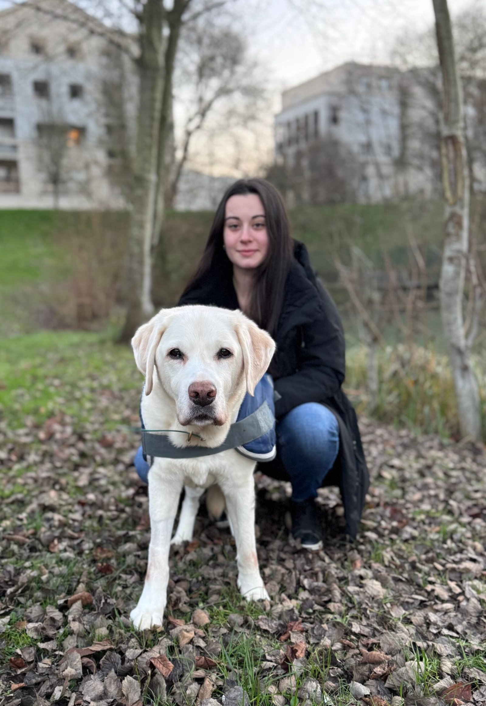 comportementalise chien seine et marne